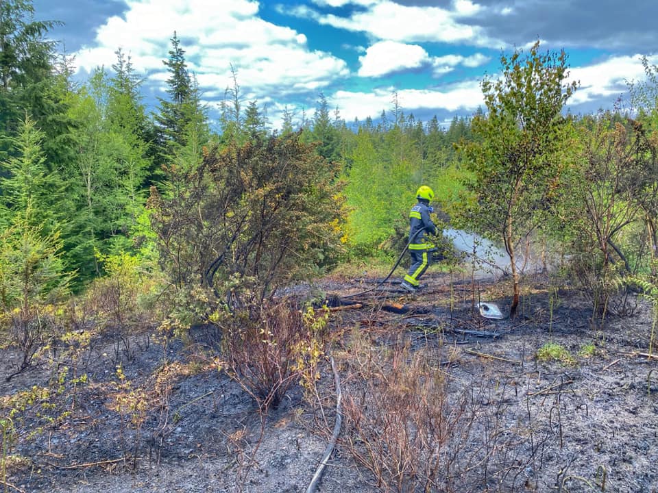 A photo of the last remnants of a wildfire being extinguished in a woodland, where the floor is brown and many trees have been burned.