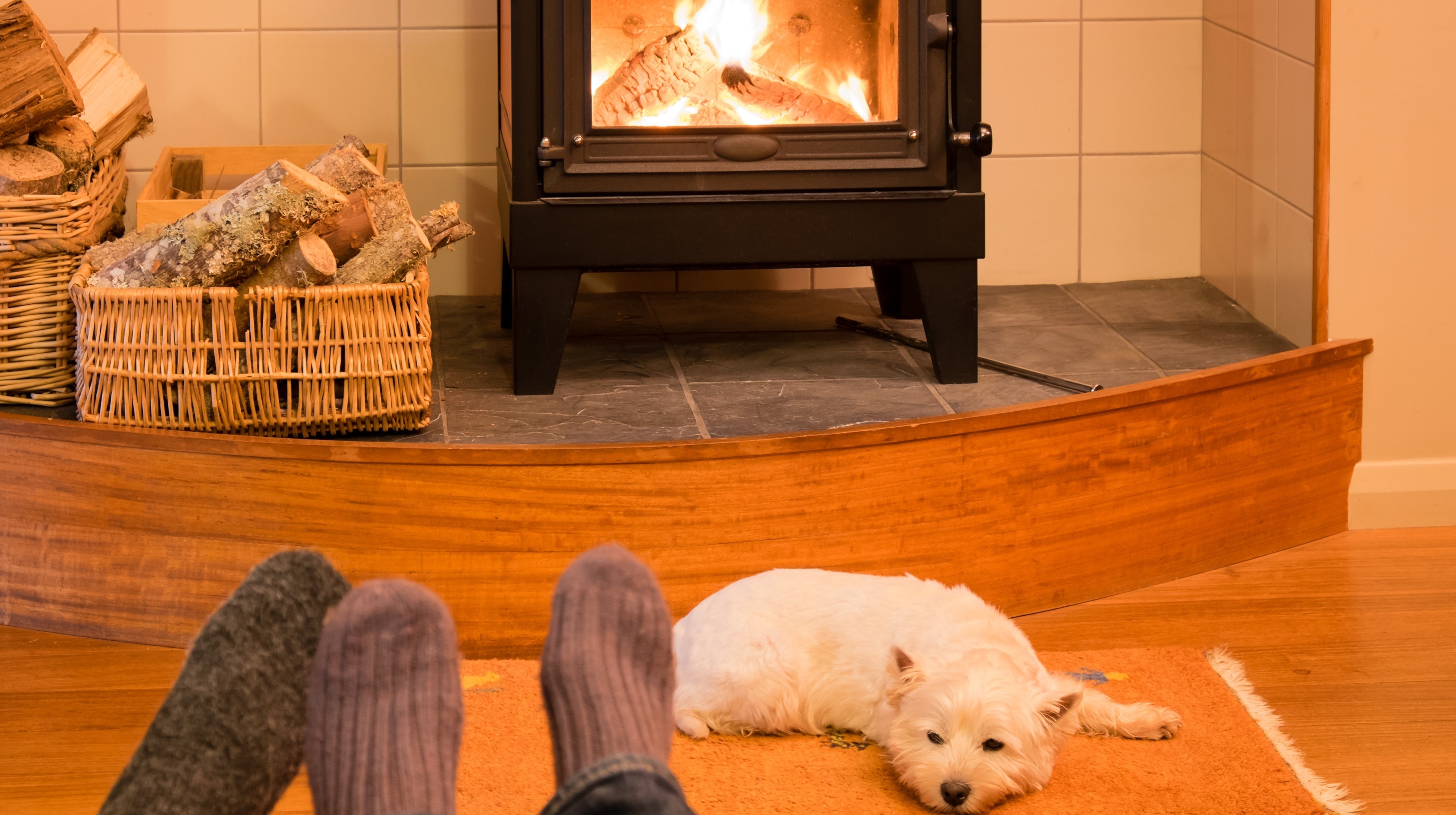 A small white dog lies in front of a burning wood burner