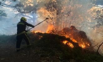 A photo of a firefighter using handheld equipment to extinguish the wildfire spreading on logs in the woodland.