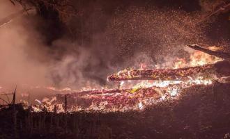 A photo taken at night time of logs on fire and ashes rising amongst the woodland.