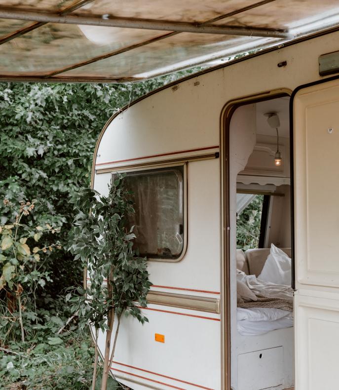 The entrance to a caravan, which has its door open, and an outdoor plant.