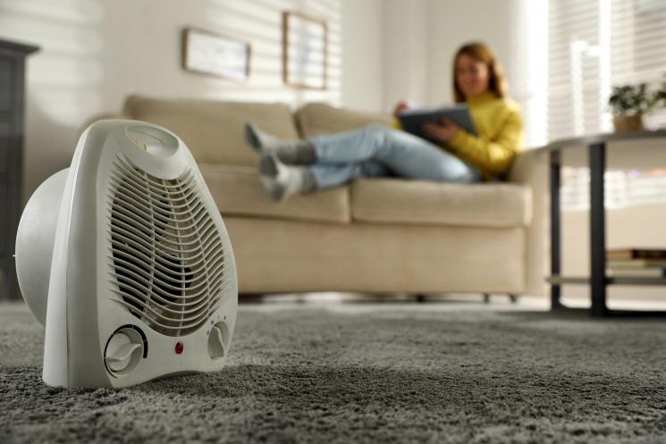 A fan heater, which is white and round, with a covered gap in the middle where you can partly see the fan. A woman on the sofa is in the background.