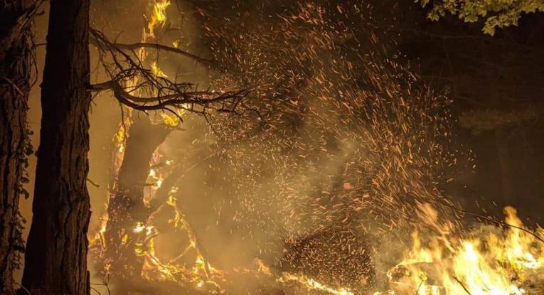 A photo taken at night time of trees and woodland on fire, with lots of sparks in the air.