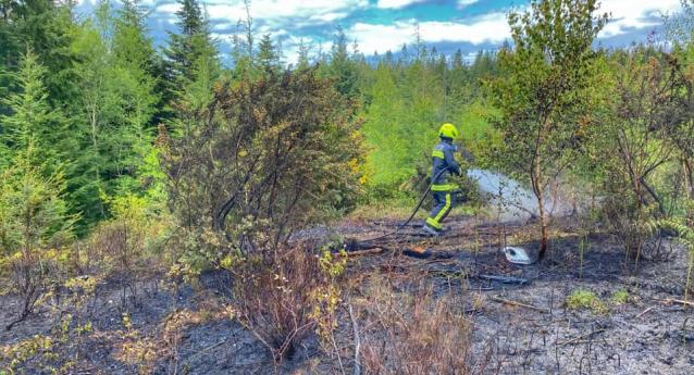 A photo of the last remnants of a wildfire being extinguished in a woodland, where the floor is brown and many trees have been burned.